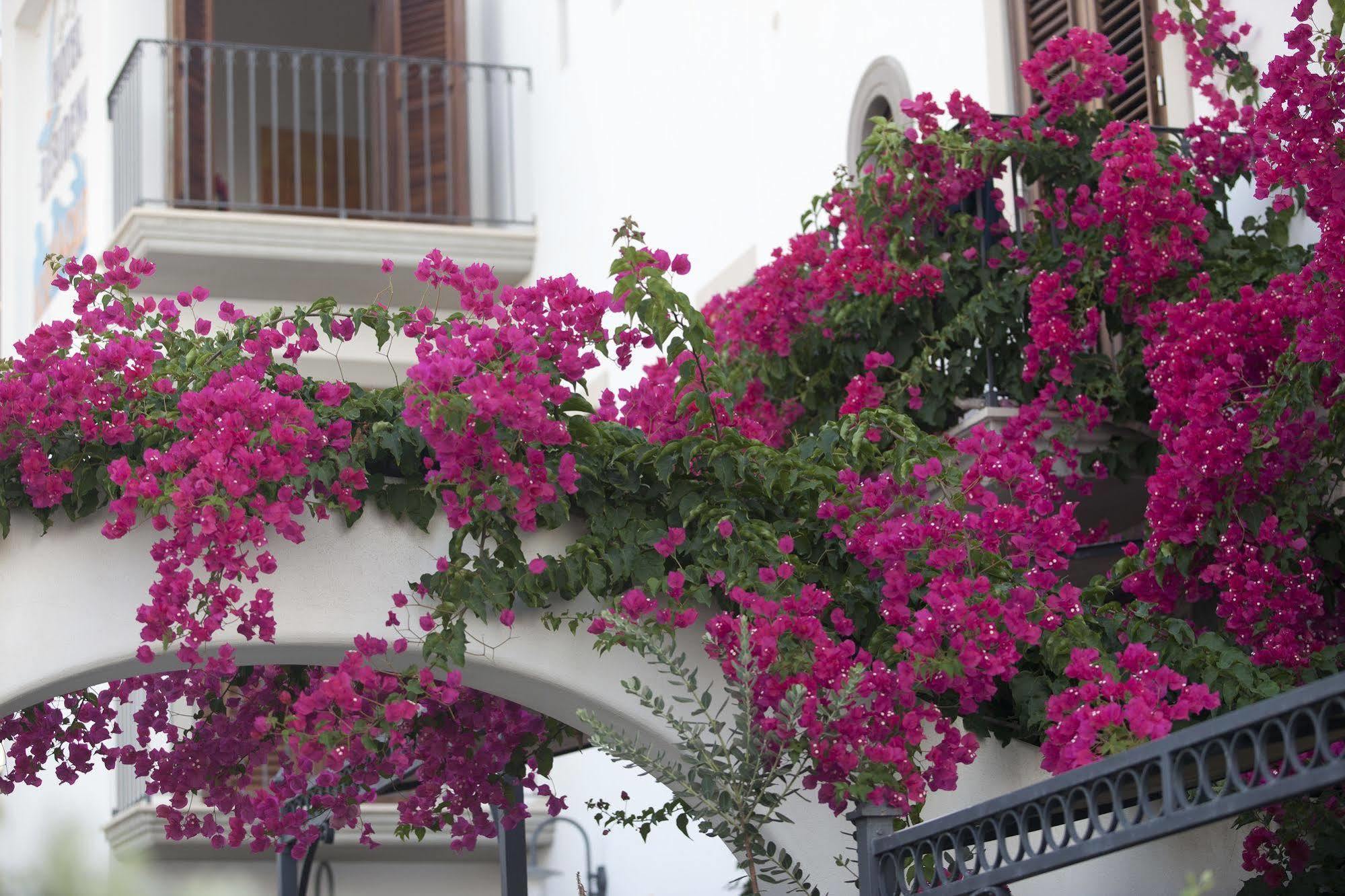 Hotel Residence Acquacalda Lipari  Extérieur photo